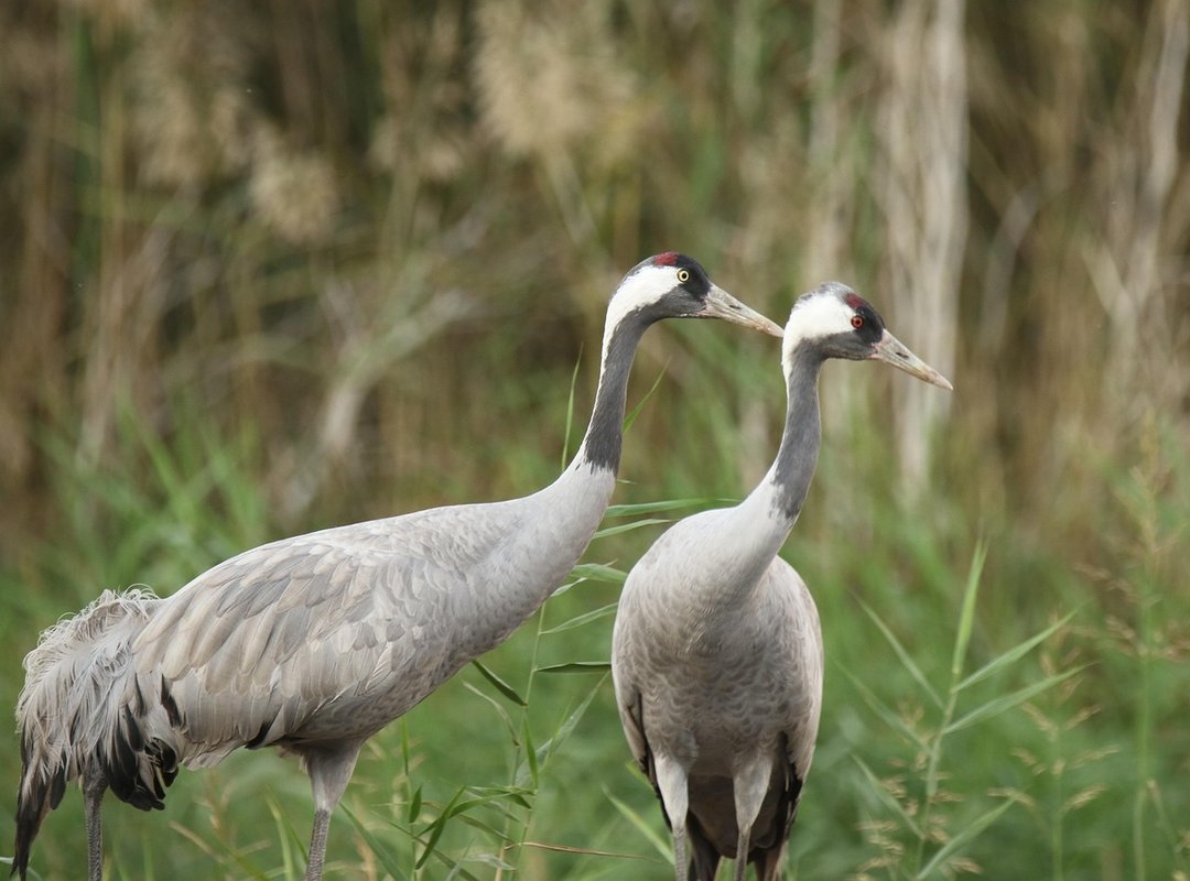 Healthy Food Hacks Ontpdiet