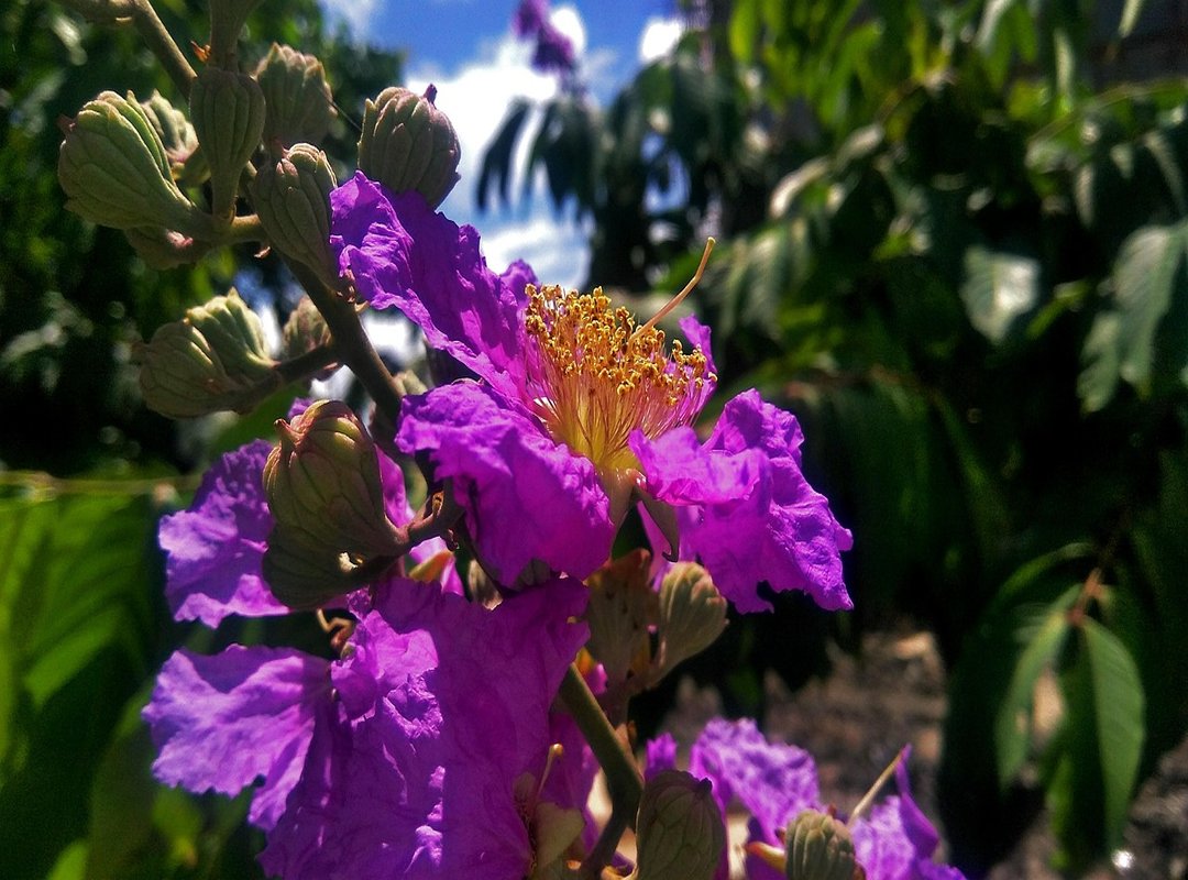 Must-Have Items from the Collection