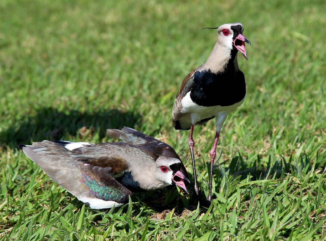 What Is Platter in Food Tbfoodcorner